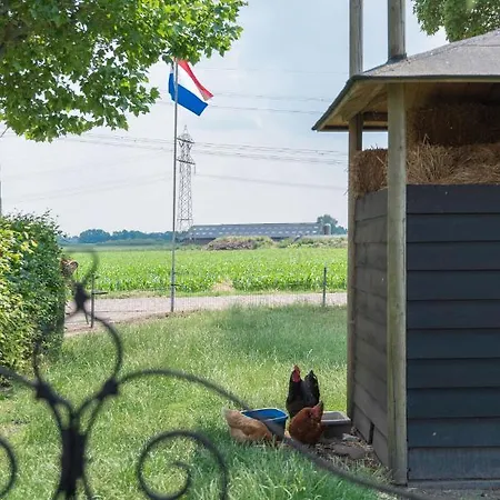 Oud *