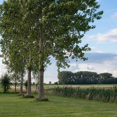 Oud * Drimmelen
